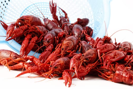 crayfish cooked in the dish served on ice