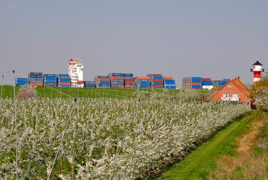 Container ship