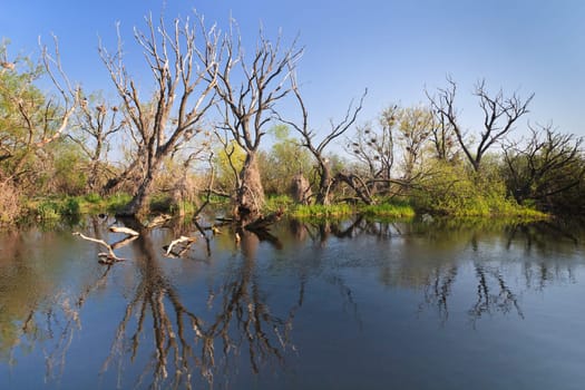 a river channel in Danube Delta, Romania