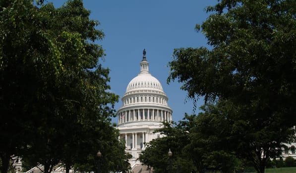 Dome of the USA capitol building in Washington DC