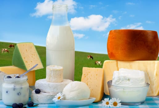 dairy products in glass containers and Cheese
