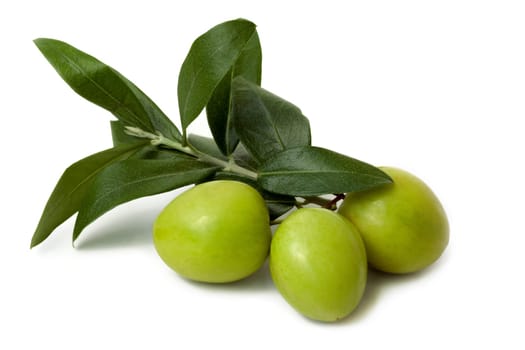 Green olives with branch and leaves