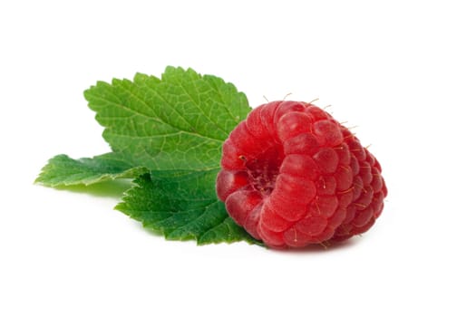 Raspberry with mint isolated on white