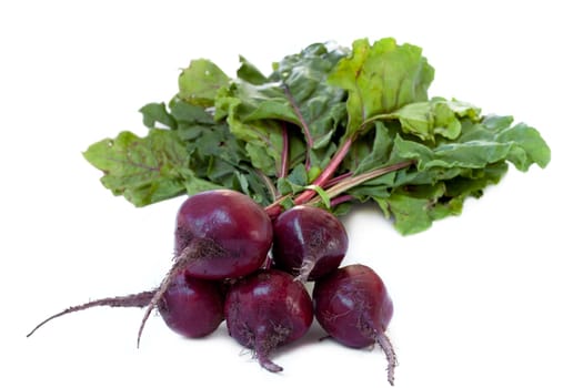 Beetroot Isolated