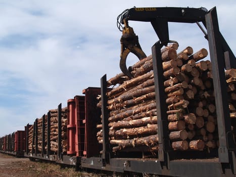 Crane loading cut logs on a railcar.
