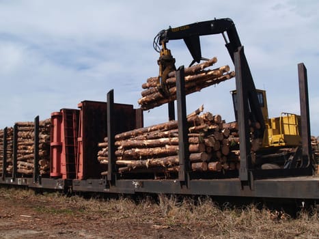 Crane loading cut logs on a railcar.