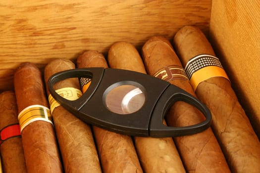 Cigars in a humidor with cutter