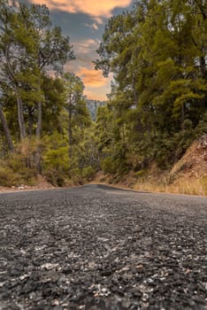 Asphalt road through autumn forest at sunrise