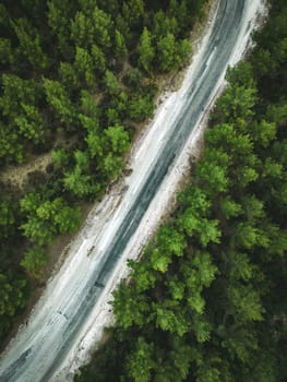 Aerial view of forest road with pine trees on both sides in autumn