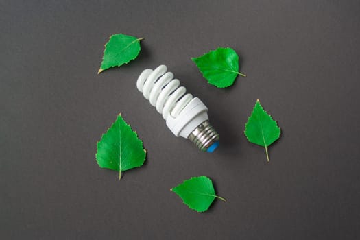 Light bulb with green leaves on black background. Green Energy Concepts creative. Eco LED Lamp, environment sustainable. Sustainable Resources, Renewable and Environmental Care.