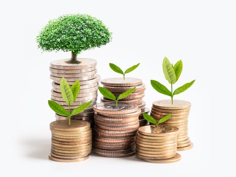 Tree plumule leaf on save money stack coins, Business finance saving banking investment concept.