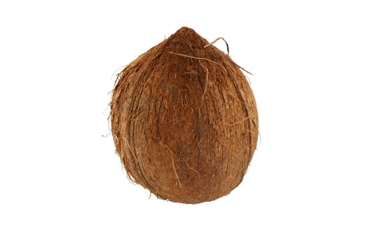 A Isolated coconut on white background