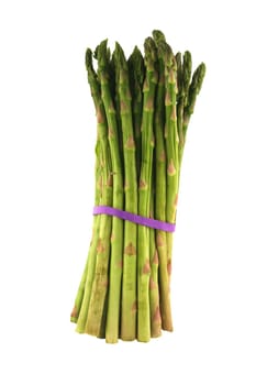 Bunch of Isolated Asparagus stalks on a white background