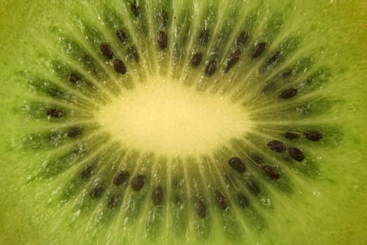 A kiwifuit macro background texture