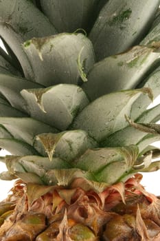 A pineapple macro image
