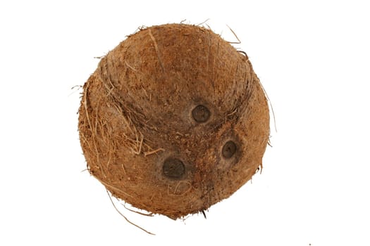 A Isolated coconut on white background