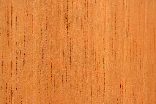 A Cedar macro texture abstract background
