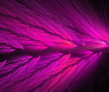 Pink and black colored feather fractal shaped similar to parrot wings.