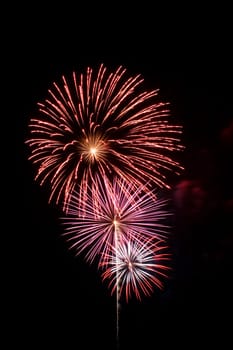 Some Colorful fireworks against a black sky