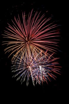 Some Colorful fireworks against a black sky