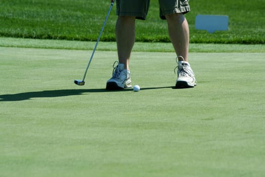 A Golfer putting on the green