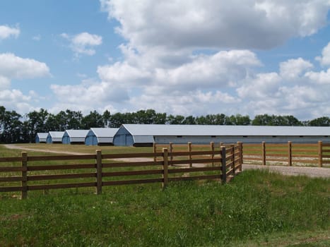 Farm buildings found in rural Georgia behind a board fence.
