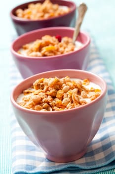 Breakfast cereal with dried berries, fruit and milk