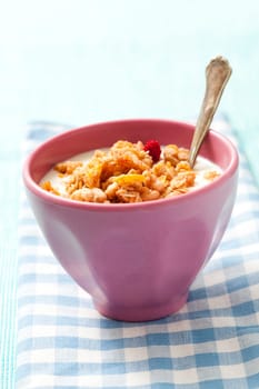 Breakfast cereal with dried berries, fruit and milk