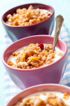 Breakfast cereal with dried berries, fruit and milk