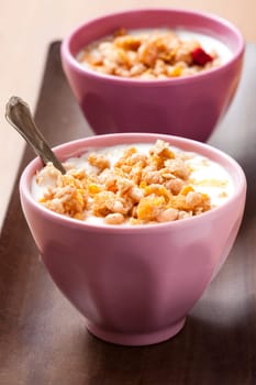 Breakfast cereal with dried berries, fruit and milk