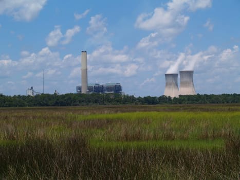 Nuclear power plant with steam coming from the chimneys as seen behind a Florida marsh or wetland beneath a cloudy blue sky.