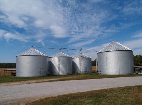 Four farm silos beside a country rock road in front of ripening soybean field with plenty of copy space.