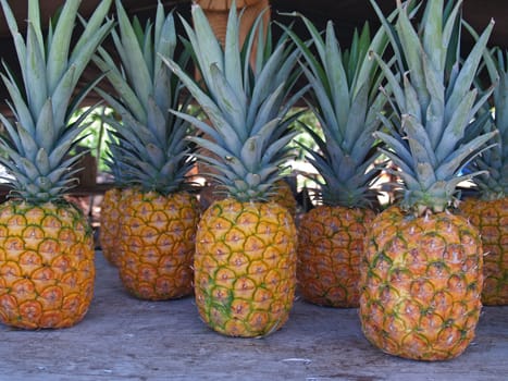 Whole pineapples standing on a table in a roadside market in Hawaii.
