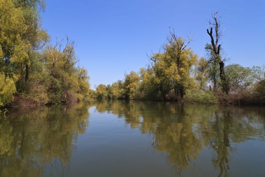 a river channel in Danube Delta, Romania