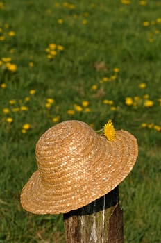 Straw hat in summer