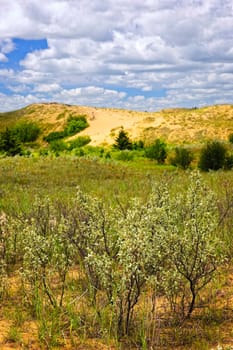 Landscape of Spirit Sands dunes in Spruce Woods Provincial Park, Manitoba, Canada