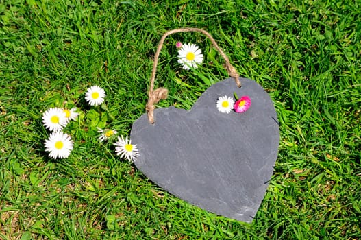 Heart Wood Natural