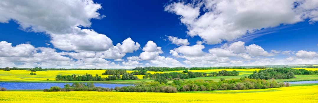 Panoramic landscape prairie view of canola field and lake in Saskatchewan, Canada