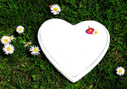 Heart Wood Natural