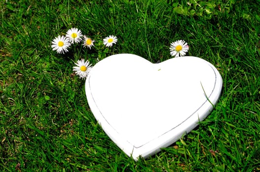 Heart Wood Natural