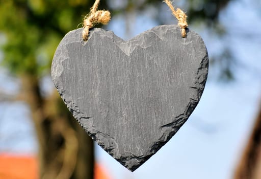 Heart Wood Natural