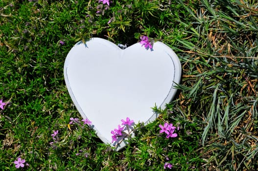 Heart Wood Natural