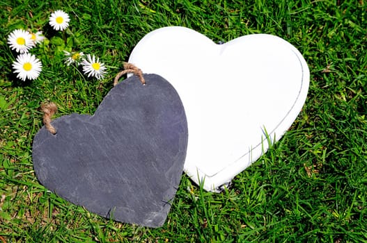 Heart Wood Natural