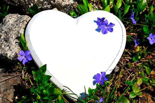 Heart Wood Natural