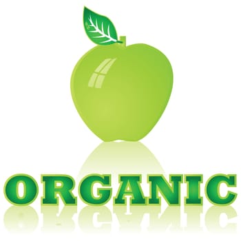 Glossy illustration of a green apple with the word Organic under it