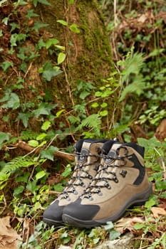 A pair of hiking boots in the field. Shallow depth of field and blurred background