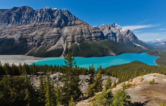 Peyto Lake, Icefields Parkway, Banff National Park, Canadian Rockies, Alberta, Canada