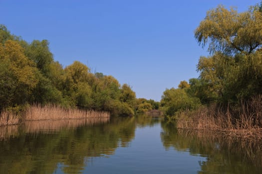 a river channel in the Danube Delta, Romania