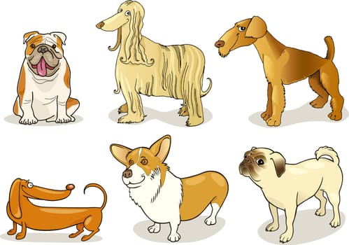cartoon illustration of six purebred dogs