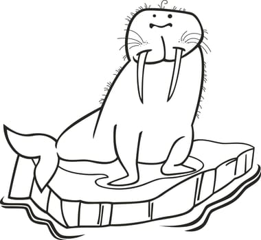 illustrationof walrus on floating ice for coloring bok